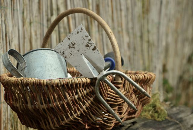 Store the gardening tools safely