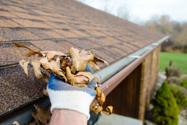 Gutter cleaning tips