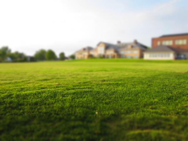 Lawn Mowed