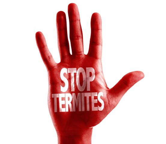 Stop Termites