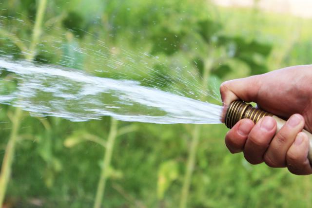 watering your lawn