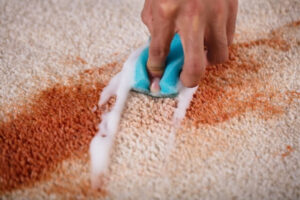 Carpet cleaning service near me