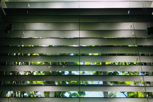 The Best Window Blind Cleaning Service Near Me (2021)